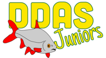 ddasjuniors